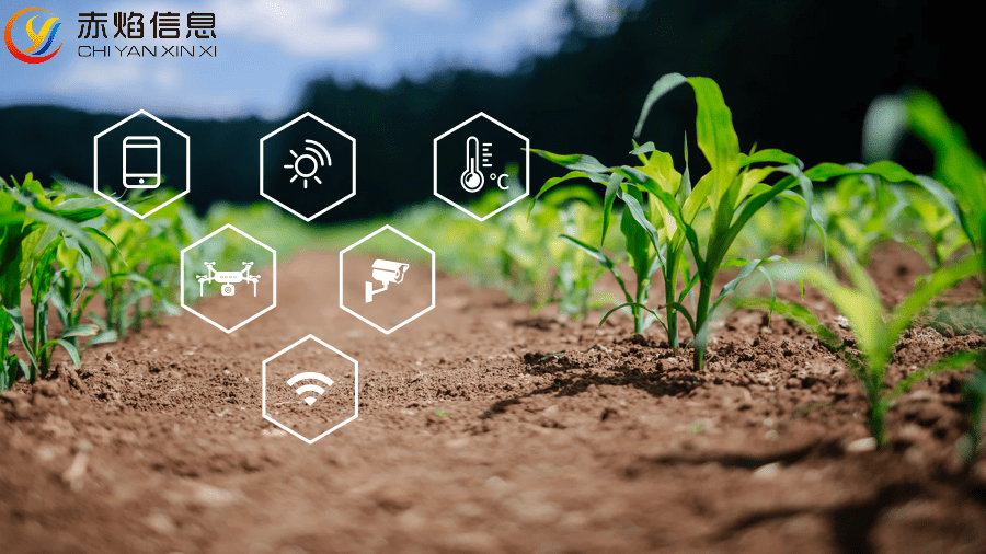 开心农场钻石苹果版:农业认养系统开发的意义是什么，认养农业系统软件开发有何优势？