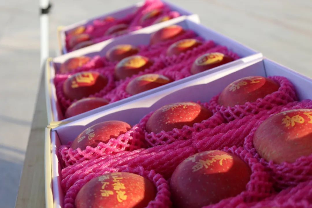 烟台警察版小苹果(警察小苹果表演视频)-第8张图片-有道翻译官网