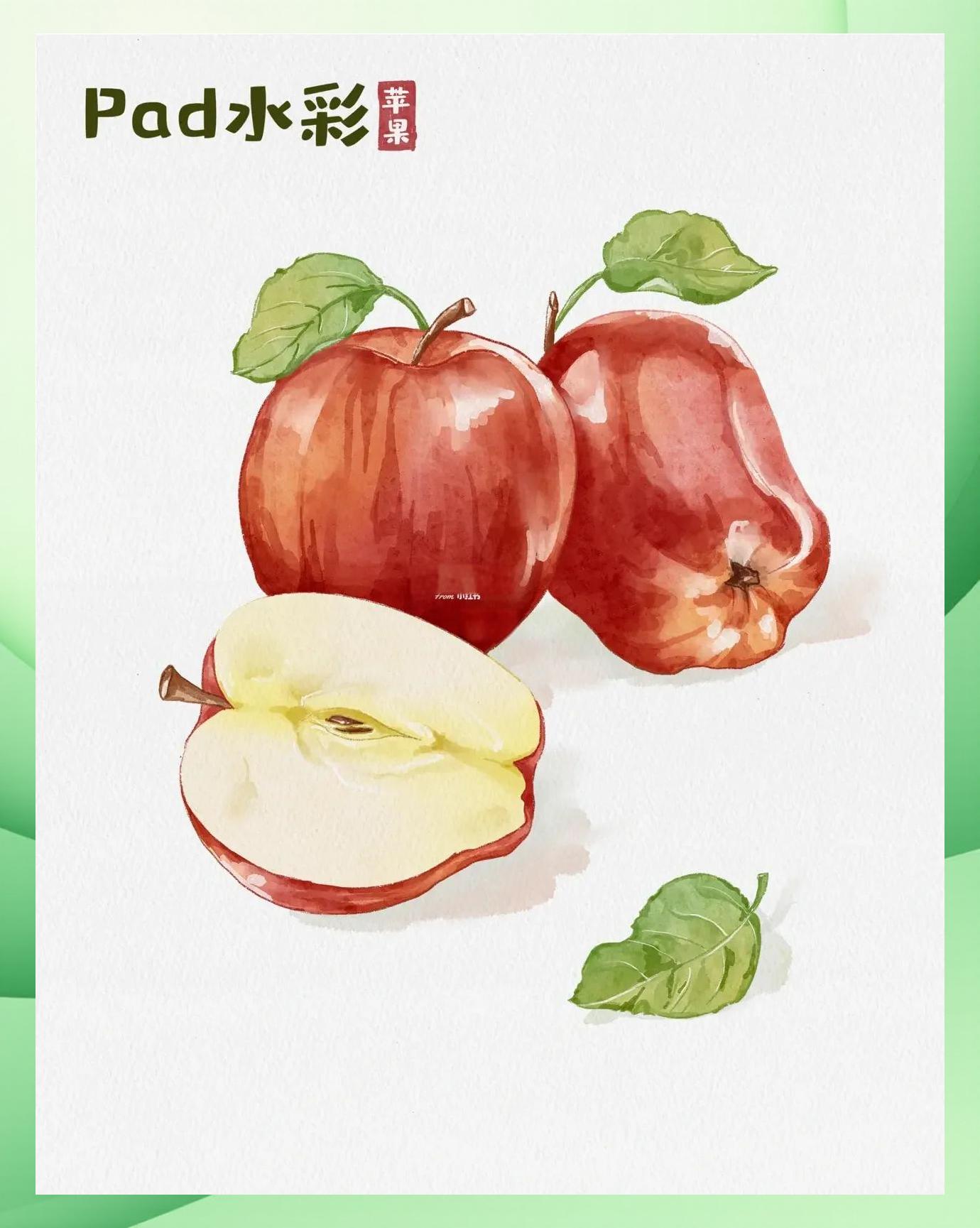 平板绘画教程苹果版(iphone平板绘画软件)-第4张图片-有道翻译官网