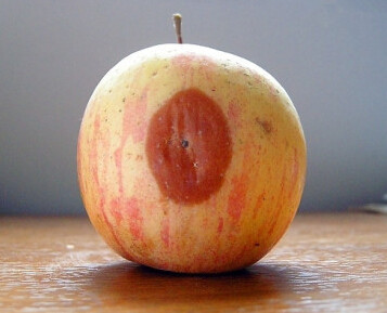 英语版烂苹果(烂苹果乐园英文怎么写)-第11张图片-有道翻译官网 英语版烂苹果(烂苹果乐园英文怎么写)-第11张图片-有道翻译官网