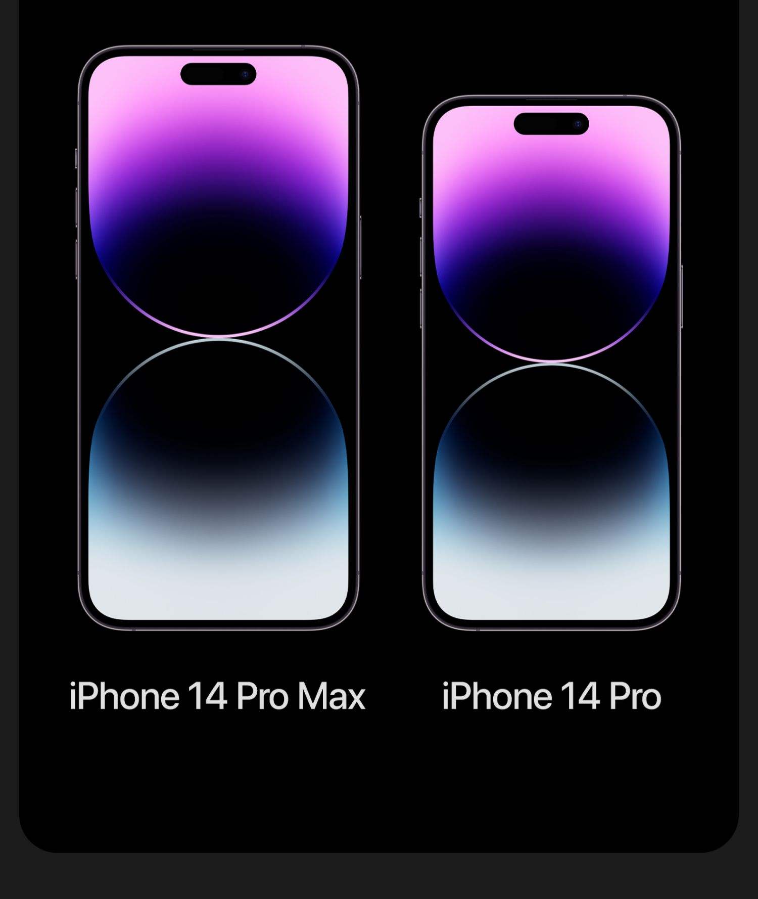 会员版和公开版苹果14(会员版和公开版苹果14哪个好)-第13张图片-有道翻译官网