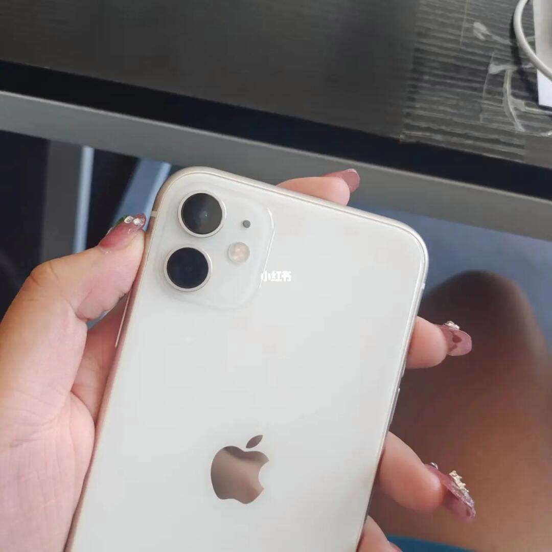 苹果11简约版白色(白色iphone 11)-第13张图片-有道翻译官网